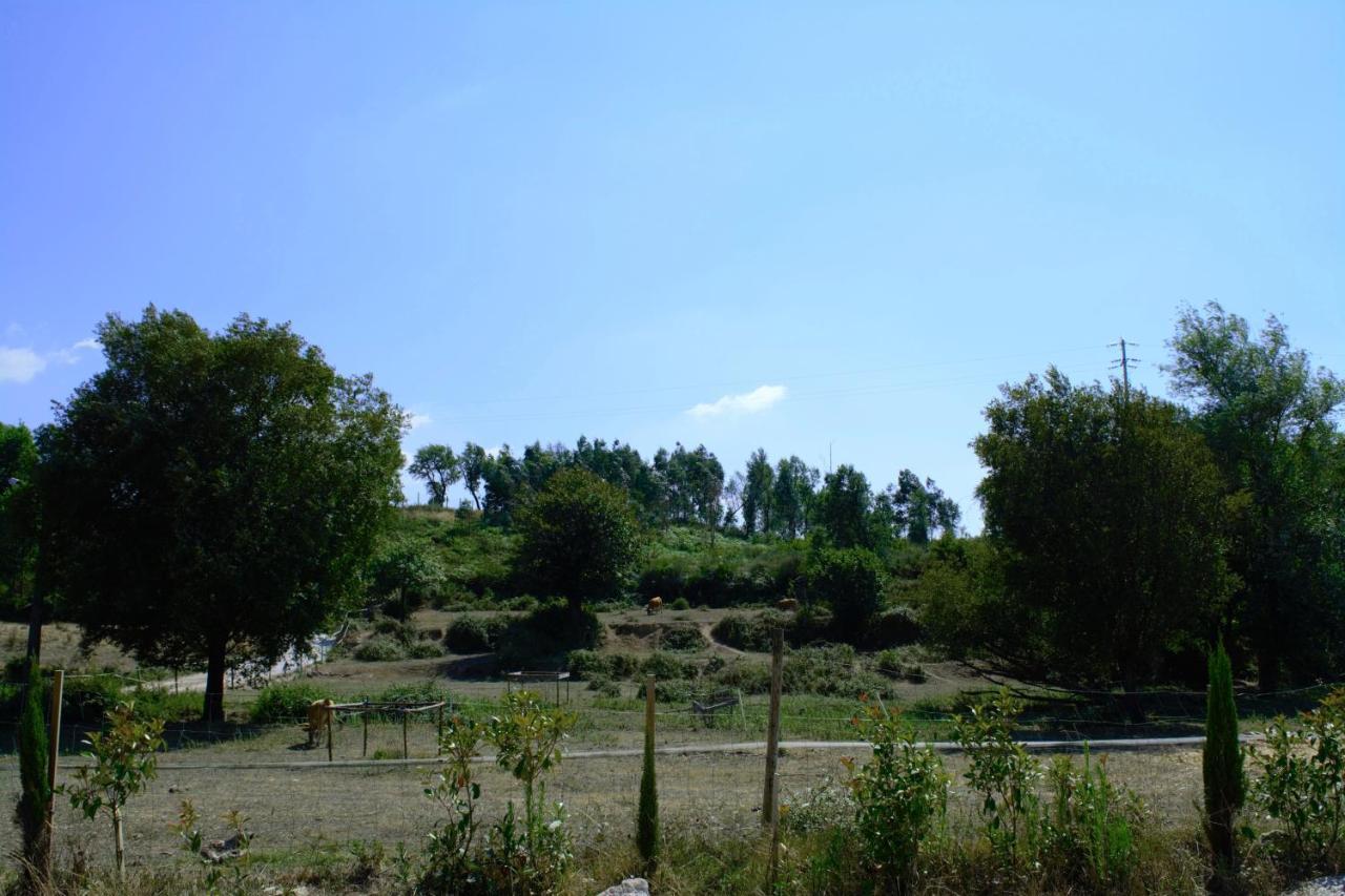 Quinta Castanheira Διαμέρισμα Santa Comba Dao Εξωτερικό φωτογραφία