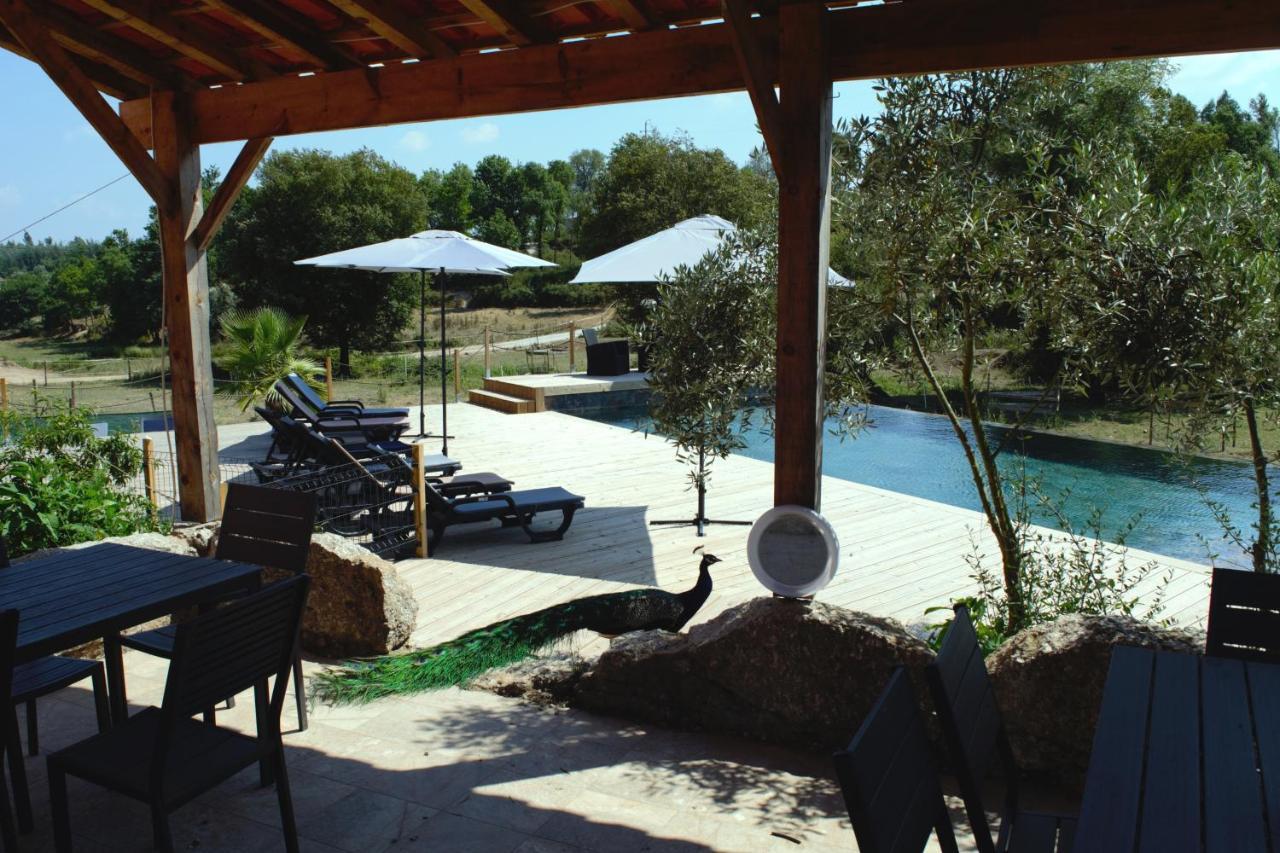 Quinta Castanheira Διαμέρισμα Santa Comba Dao Εξωτερικό φωτογραφία