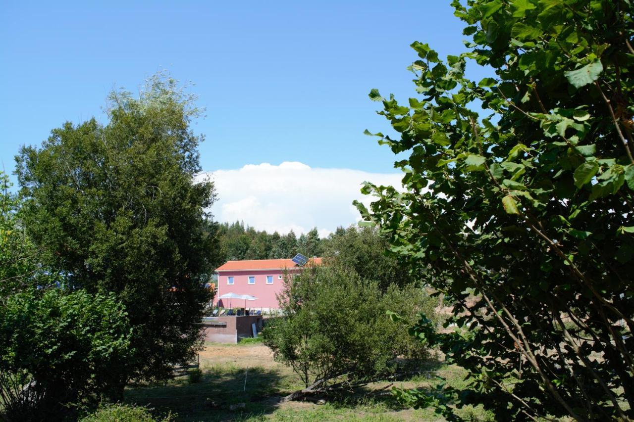 Quinta Castanheira Διαμέρισμα Santa Comba Dao Εξωτερικό φωτογραφία