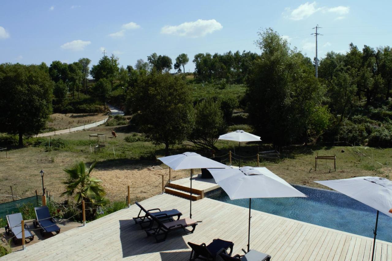 Quinta Castanheira Διαμέρισμα Santa Comba Dao Εξωτερικό φωτογραφία