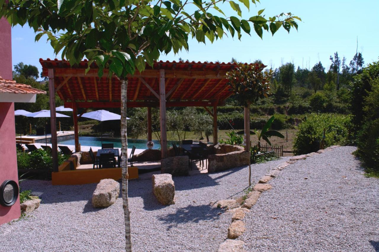 Quinta Castanheira Διαμέρισμα Santa Comba Dao Εξωτερικό φωτογραφία
